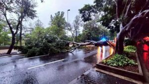 Storm Hermine: come stanno tornando a casa i viaggiatori bloccati nelle Isole Canarie?