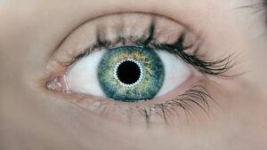 Un semplice test dell'occhio AI potrebbe prevedere con precisione un futuro infarto fatale