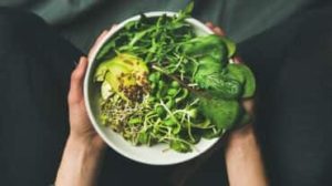 dieta vegana