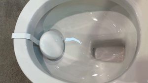 Servizi igienici intelligenti: un'azienda francese offre dati sulla salute attraverso l'analisi delle urine