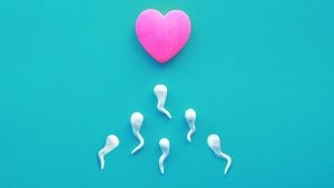 Farmaco anticoncezionale maschile che blocca lo sperma nei topi salutato come "punto di svolta" per la contraccezione maschile