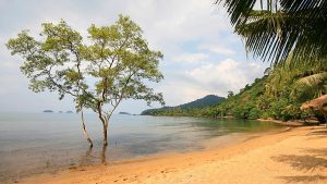 Thailandia: dalle minuscole isole ai ritiri benessere, ecco perché dovresti visitare nel 2023
