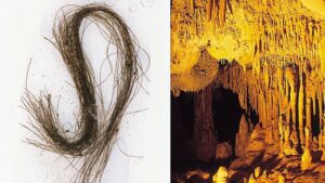 I capelli dell'età del bronzo trovati in una grotta spagnola rivelano il primo consumo di droga conosciuto in Europa 3000 anni fa