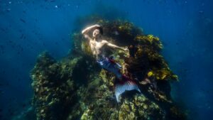 Sei cresciuto volendo essere una sirena?  Trasforma il sogno della tua infanzia in realtà grazie a questo corso