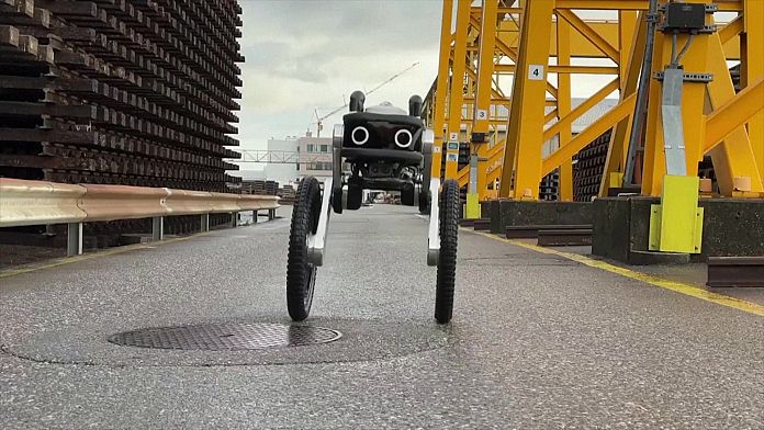 Incontra il robot alimentato dall'intelligenza artificiale che sostituisce gli umani come guardie di sicurezza in Svizzera