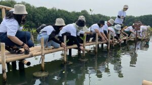 "Affascinante e bello": l'Indonesia spera che l'ecoturismo possa aiutare a proteggere le sue foreste di mangrovie