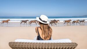 Cos'è la terapia equina?  Quest'isola paradisiaca promette guarigione attraverso i cavalli