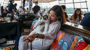 Tutte le zampe sul ponte: questa crociera al tramonto a Singapore offre un viaggio di lusso per i gatti e i loro umani