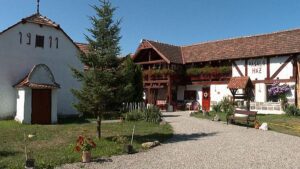 Gli abitanti di questo villaggio rumeno stanno restaurando case secolari per attrarre turisti