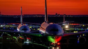 Una parte dell'alimentazione elettrica dell'aeroporto di Francoforte è stata interrotta durante la notte da un ghiro
