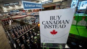 L'ultima vittima nella guerra commerciale del Canada di Trump è un contratto da 66 milioni di euro con Musk's Starlink