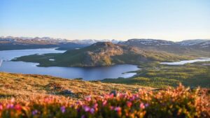 Finlandia Estate: Alla Scoperta del Sole di Mezzanotte Verde