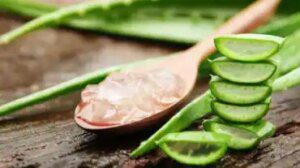 aloe vera per la pelle