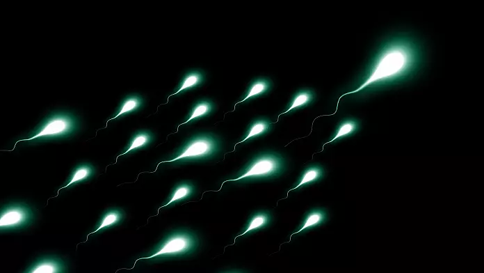 Dalla pillola anticoncezionale maschile alla vasectomia reversibile: ecco il futuro della contraccezione maschile