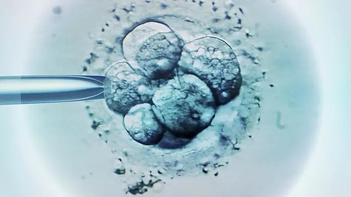 Gli scienziati hanno scoperto che i bambini con fecondazione in vitro nati da embrioni congelati corrono un rischio maggiore di cancro