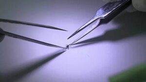 Gli scienziati stanno manipolando il DNA delle zanzare per combattere la diffusione della malaria