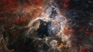 Nelle immagini: il telescopio James Webb rivela migliaia di nuove stelle nella Nebulosa Tarantola