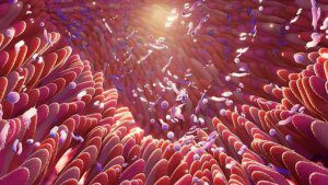 Scienziati in Francia cercano campioni di cacca da 100.000 volontari per la ricerca sulla salute dell'intestino