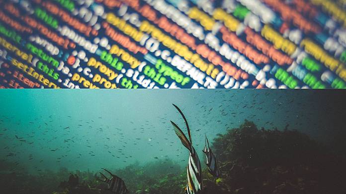 Stanno arrivando i data center subacquei.  Possono ridurre le emissioni di CO2 e rendere Internet più veloce?