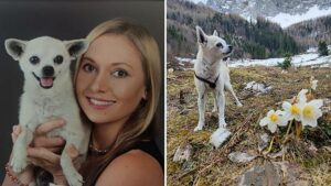 Come un chihuahua alpinista ha aiutato questa austriaca a inseguire i suoi sogni di viaggio