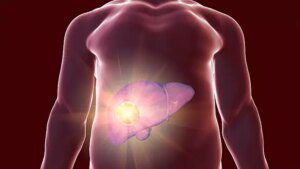 I fegati trapiantati possono andare avanti per un totale di oltre 100 anni, secondo una nuova ricerca