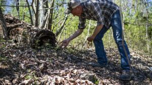 La raccolta dei funghi può essere un modo divertente e gratuito per mangiare: segui questi suggerimenti per assicurarti di raccogliere in sicurezza