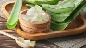 aloe vera per capelli e pelle