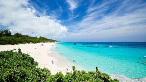 Le Bermuda hanno riaperto ai turisti.  Ecco come visitare le sue spiagge rosa e i relitti affondati