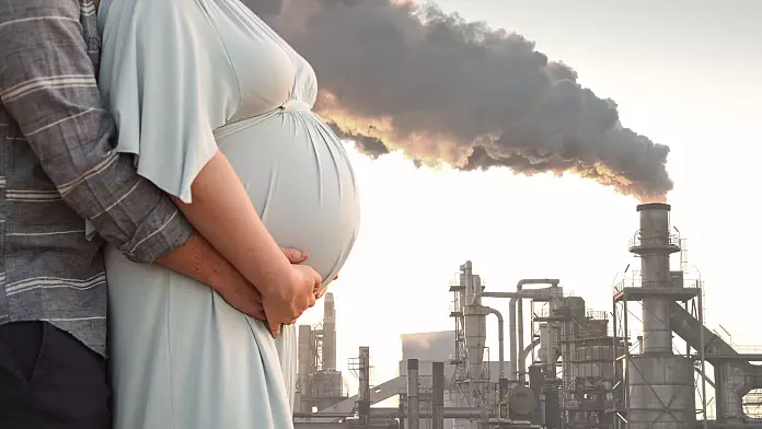 L'inquinamento e le sostanze chimiche per sempre inalate durante la gravidanza possono danneggiare la futura fertilità dei bambini non ancora nati
