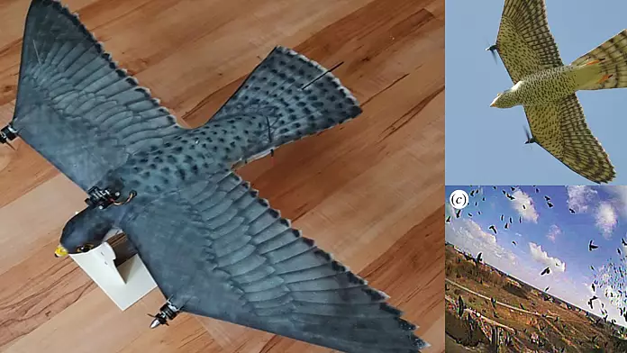 Questo falco drone potrebbe impedire che il tuo volo venga ritardato un giorno.  Ecco come.