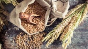 intolleranza al glutine