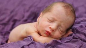 Cura della mamma canguro