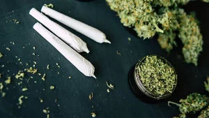 I fumatori di marijuana hanno un tasso più elevato di alcune malattie polmonari rispetto ai fumatori di tabacco, secondo uno studio