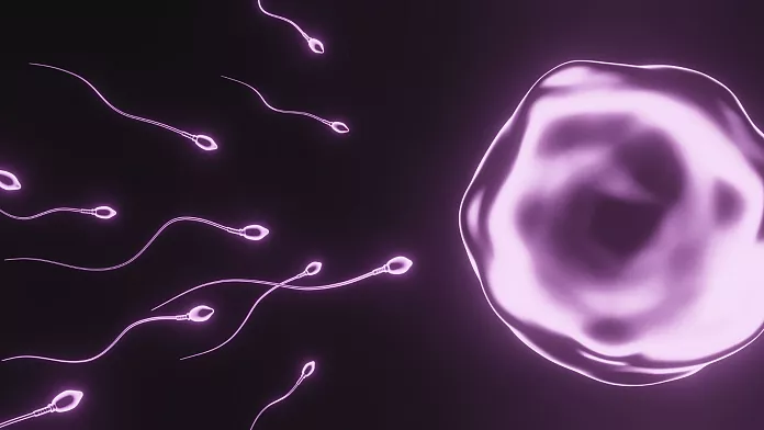 Il calo del numero di spermatozoi sta accelerando in tutto il mondo e minaccia il futuro dell'umanità, avverte lo studio