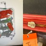 Il gatto clandestino riesce a scappare con la pelliccia dopo essersi intrufolato nella valigia all'aeroporto JFK