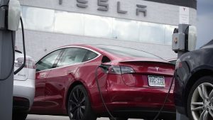 Incontra l'attivista che cerca di impedire a Elon Musk di mettere Tesla a guida autonoma "non sicure" sulle nostre strade