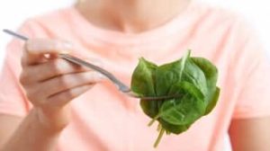 verdure verdi nel monsone