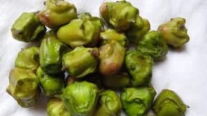 benefici di singhara