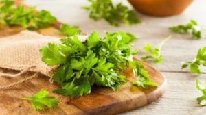 chutney di coriandolo