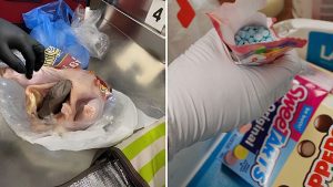 Armi da fuoco di carcasse di pollo e birilli al fentanil: i più strani ritrovamenti di sicurezza negli aeroporti statunitensi del 2022