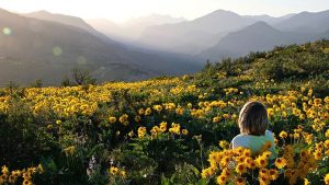Cerchi la pace nel nuovo anno?  Torna alla natura nei migliori parchi nazionali d'Europa