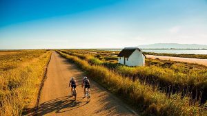 Esplora la Catalogna in questo epico tour circolare di 2.000 km da Barcellona alla regione vinicola del Penedès