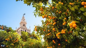 Visita l'Andalusia per un assaggio del sole, del mare e dei festeggiamenti della Spagna meridionale