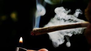 Amsterdam vieta il fumo di cannabis in pubblico per frenare il comportamento "cupo" dei turisti