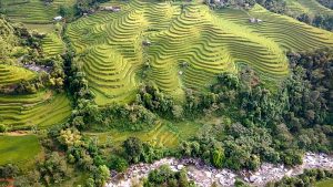 Banaue Rice Terraces: meraviglia del mondo a rischio di collasso mentre la gente del posto si rivolge a lavori turistici