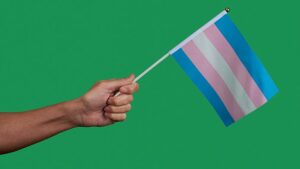 Twitter rimuove i tweet che promuovono una protesta "Trans Day of Vengeance" per "incitamento alla violenza"