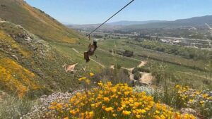 California super bloom: lo zipline è il modo migliore per essere un turista responsabile?