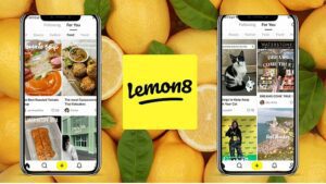 Instagram incontra Pinterest: ho provato Lemon8, la nuova app gemella di TikTok che sta crescendo in popolarità