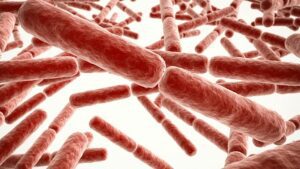 Nuovi antibiotici "mutaforma" potrebbero aiutare a combattere i superbatteri resistenti ai farmaci