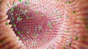 I batteri intestinali potrebbero essere la chiave per prevenire il morbo di Parkinson, affermano gli scienziati finlandesi